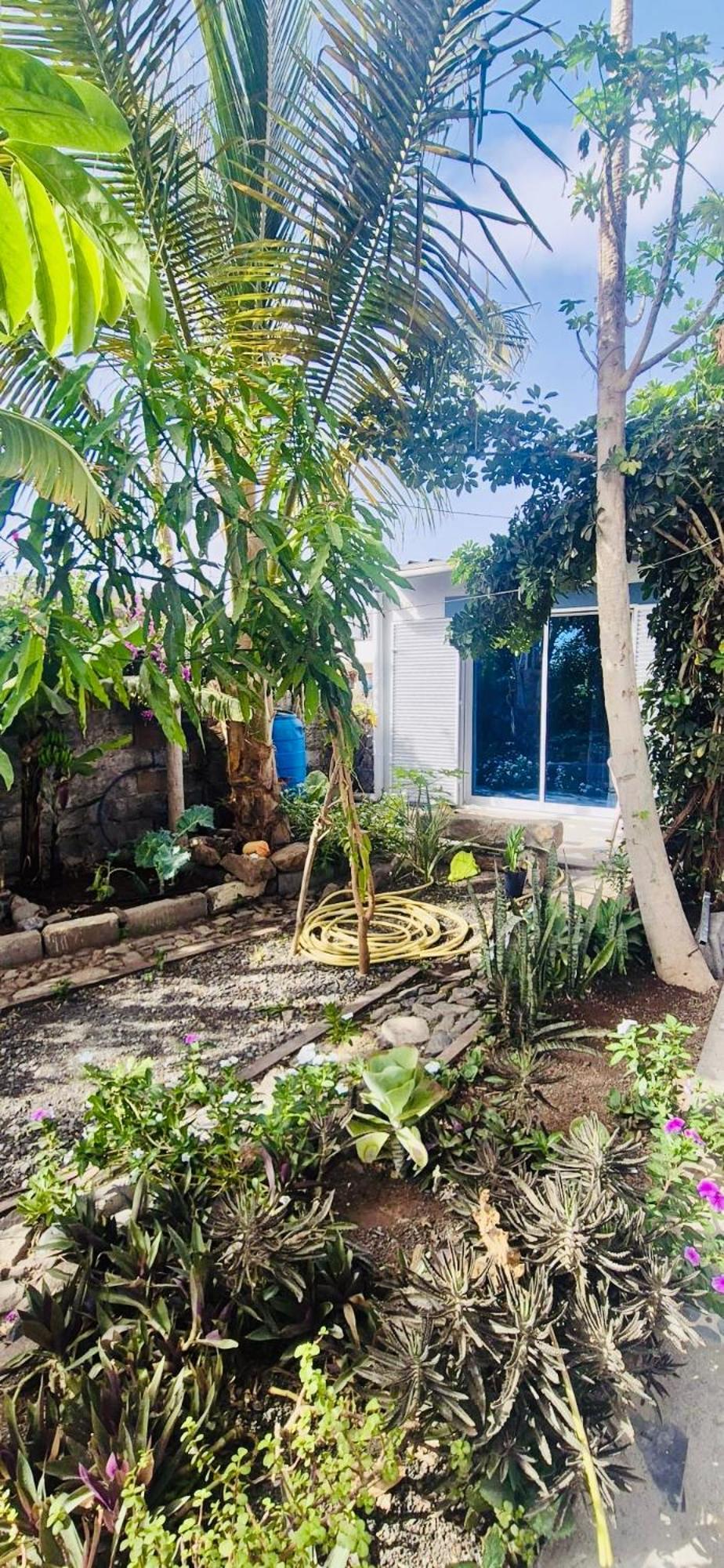 Casa Chiquinha Apartment Ribeira da Prata Luaran gambar