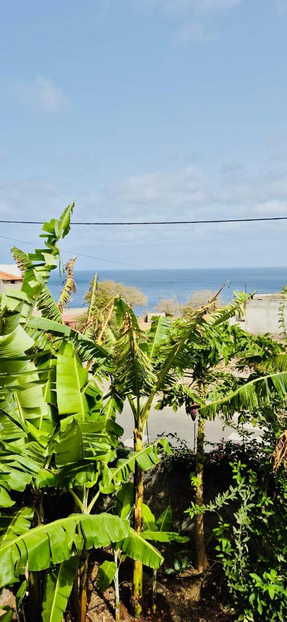 Casa Chiquinha Apartment Ribeira da Prata Luaran gambar
